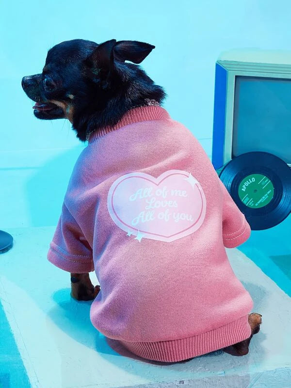 PETSIN Valentin-napi szívmintás kisállat pulóver (XS-XL)