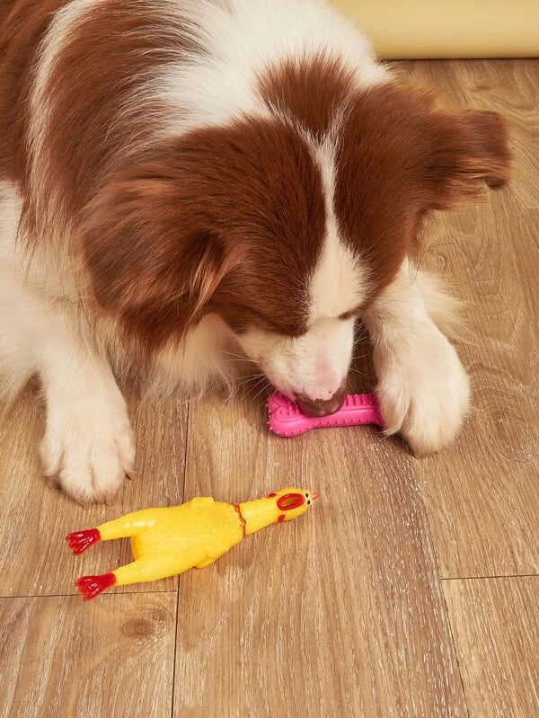 1-1 pcs Random Color Bone Shaped & Chicken Design Pet Chew Toy Set