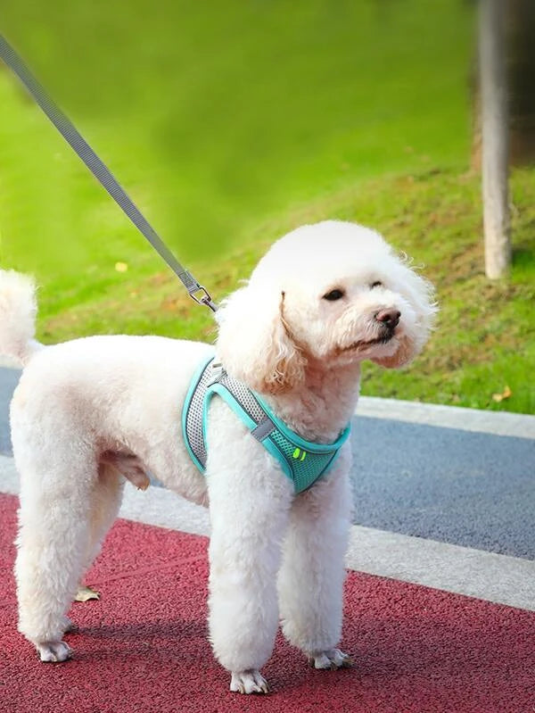 1pc Breathable Pet Harness & 1pc Leash (XXS-L) YELLOW/ PINK/ MULTICOLOR