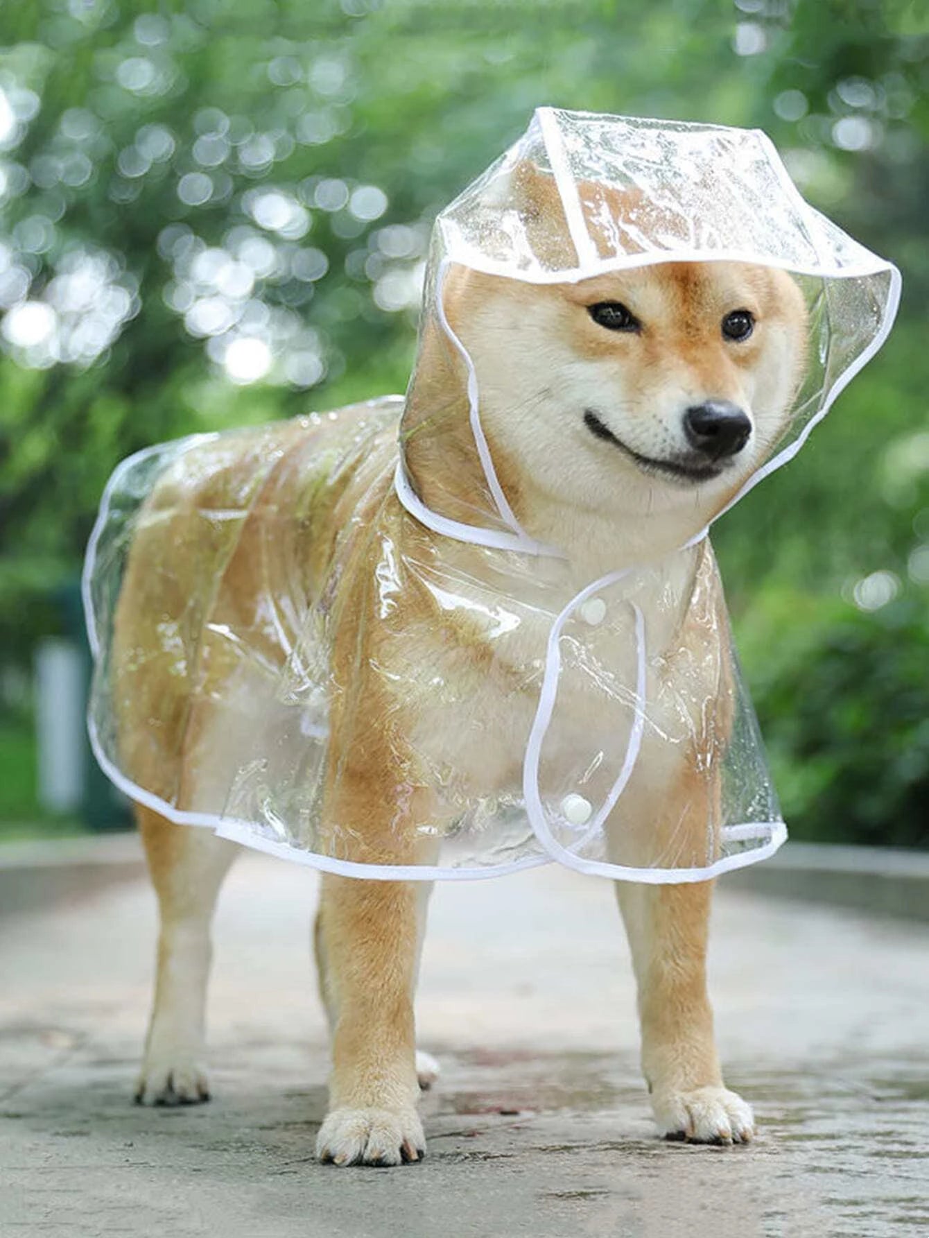 1pc Clear Hooded Pet Raincoat,Transparent Plastic Fashion Raincoat (XS-4XL)