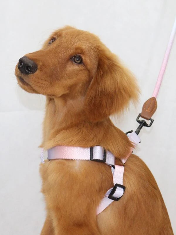 Ombre Pet Leash & Harness Set (M-XL) PINK / YELLOW