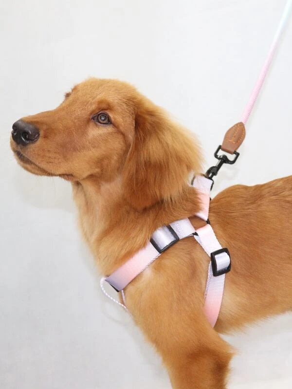 Ombre Pet Leash & Harness Set (M-XL) PINK / YELLOW