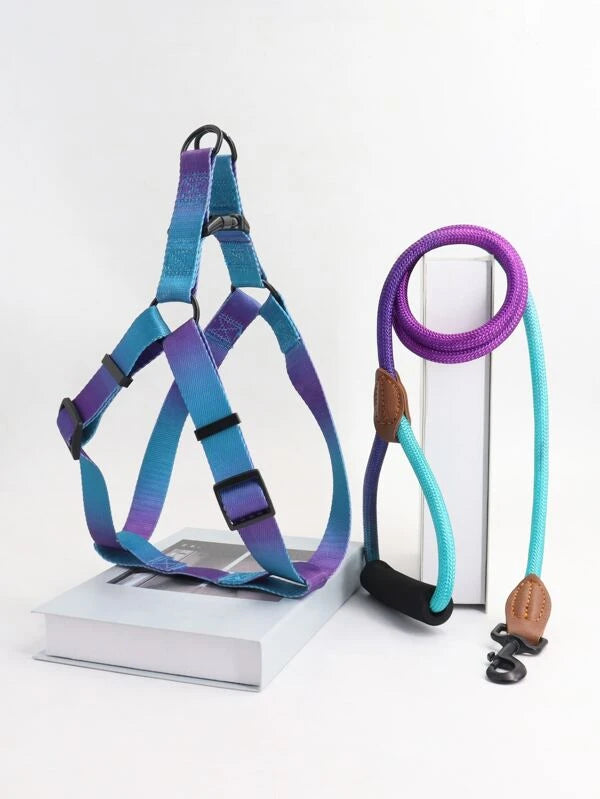 Ombre Pet Leash & Harness Set (M-XL) BLU / PURPLE