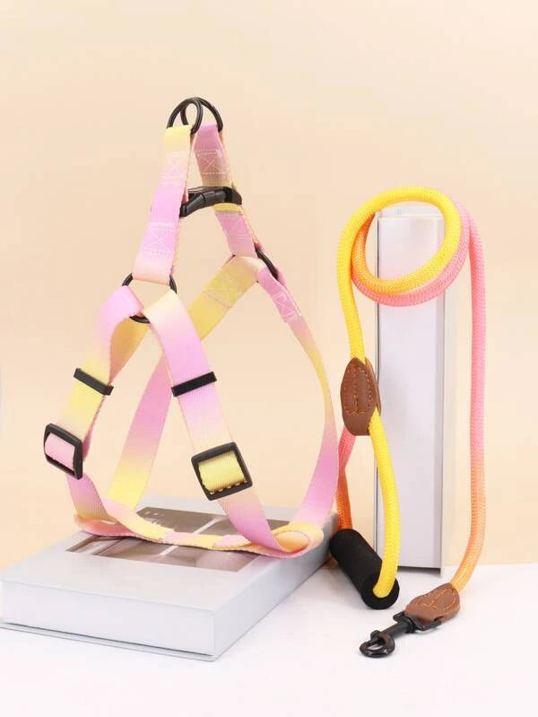 Ombre Pet Leash & Harness Set (M-XL) PINK / YELLOW