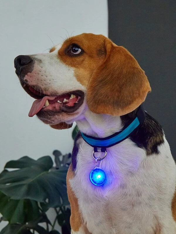 1pc Glowing Pet Pendant BLUE/ YELLOW / GREEN / PINK