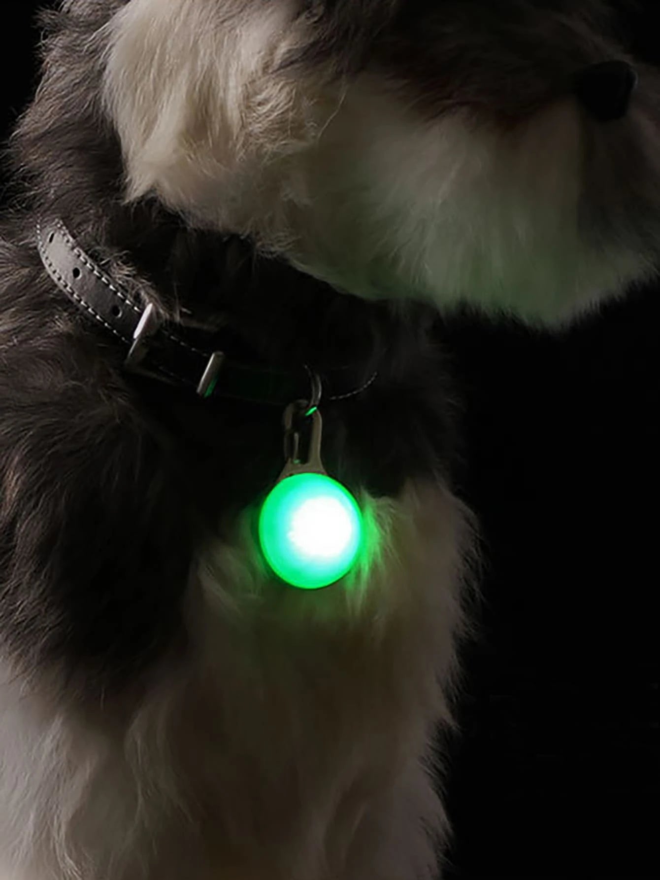 1pc Glowing Pet Pendant BLUE/ YELLOW / GREEN / PINK